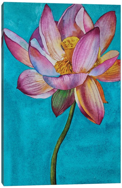 Lily Pond Canvas Art Print - Delnara El