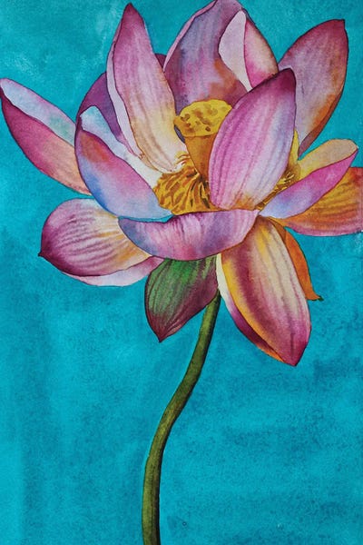 Water Lilies: Lily Pond by Delnara El