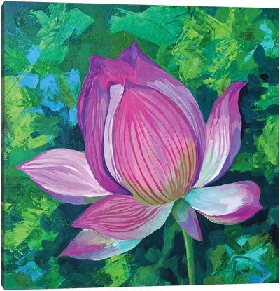 Lotus Lily Canvas Art Print - Lily Art