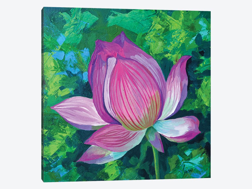 Lotus Lily by Delnara El 1-piece Canvas Artwork