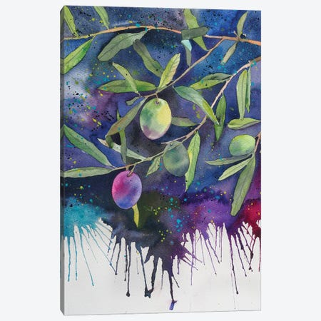 Olives On A Dark Background Canvas Print #DER52} by Delnara El Canvas Art