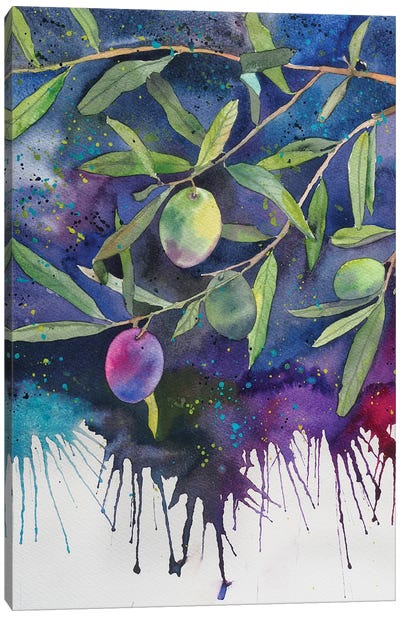 Olives On A Dark Background Canvas Art Print - Delnara El