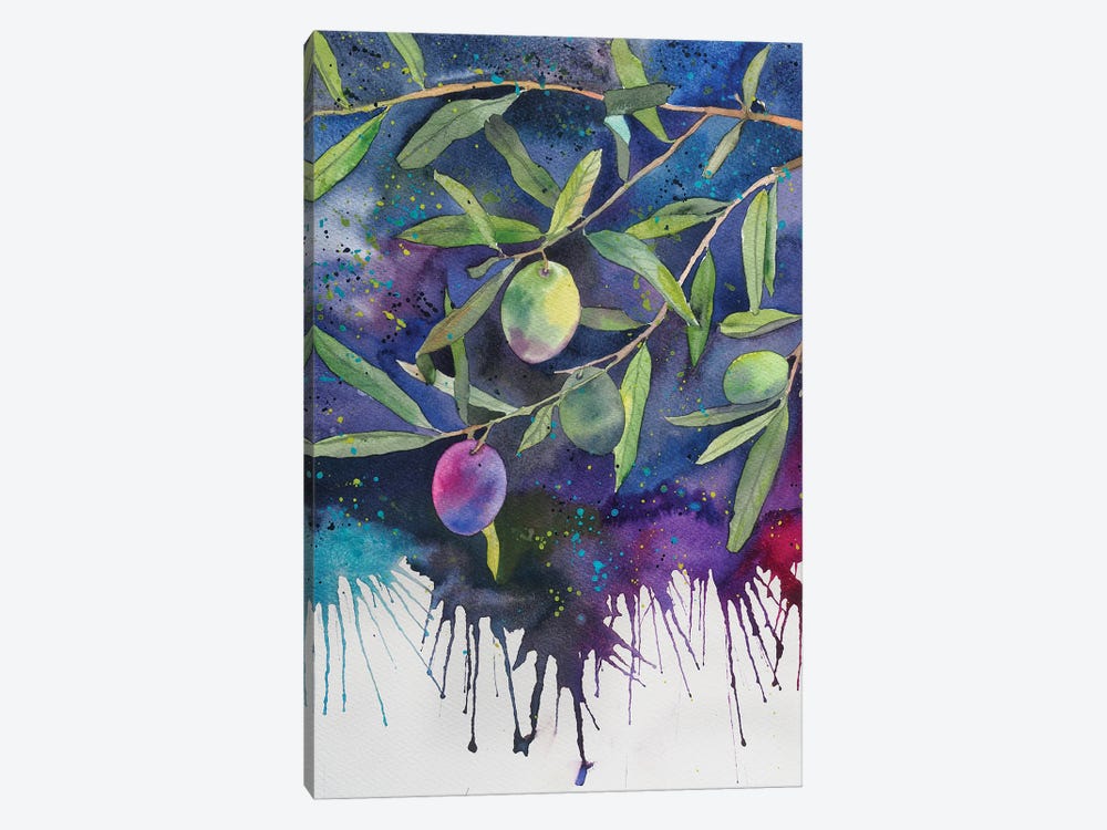 Olives On A Dark Background by Delnara El 1-piece Canvas Art
