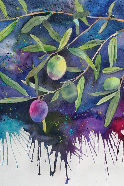 Vegetables: Olives On A Dark Background by Delnara El