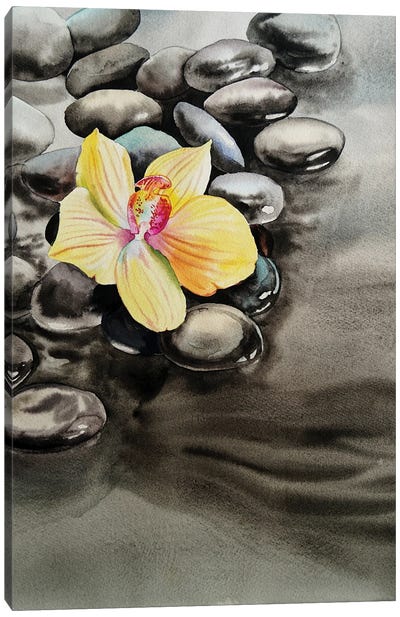 Orchid And Seastones Canvas Art Print - Zen Master
