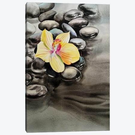 Orchid And Seastones Canvas Print #DER53} by Delnara El Canvas Artwork