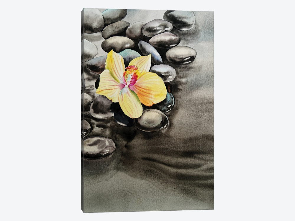 Orchid And Seastones by Delnara El 1-piece Art Print