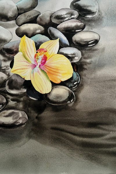 Delnara El: Orchid And Seastones by Delnara El