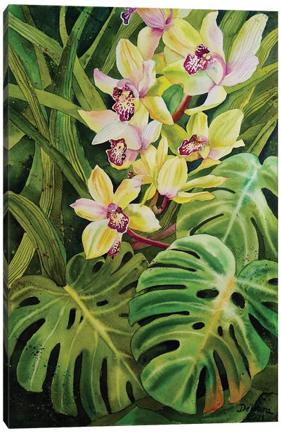 Orchid Flowers And Monstera Leaves Canvas Art Print - Delnara El