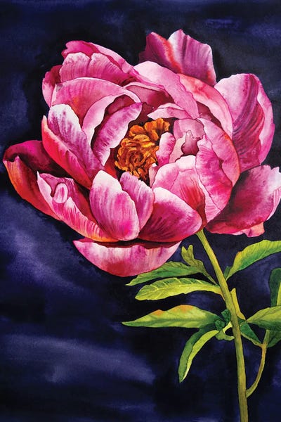 Delnara El: Peony On Dark by Delnara El