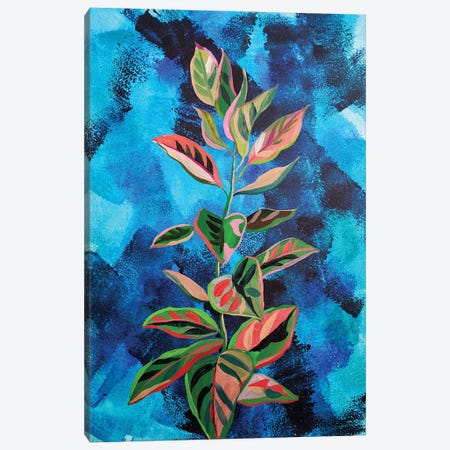 Plant On Expressive Background Canvas Print #DER57} by Delnara El Canvas Print