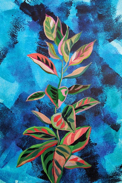 Plant On Expressive Background