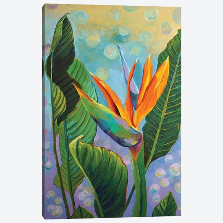 Strelitzia, Tropical Flower Canvas Print #DER66} by Delnara El Canvas Wall Art