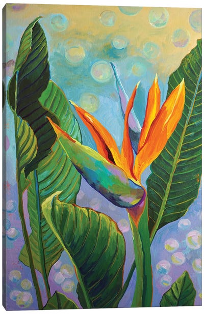 Strelitzia, Tropical Flower Canvas Art Print - Delnara El
