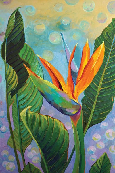 Strelitzia, Tropical Flower