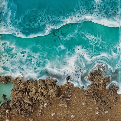 Tree Oceans I by Delnara El framed canvas print