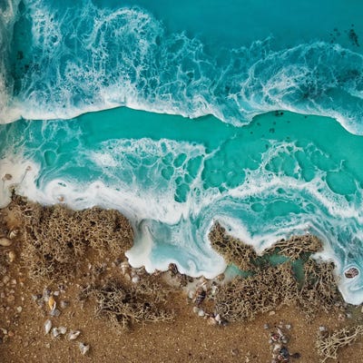 Tree Oceans III by Delnara El framed canvas print