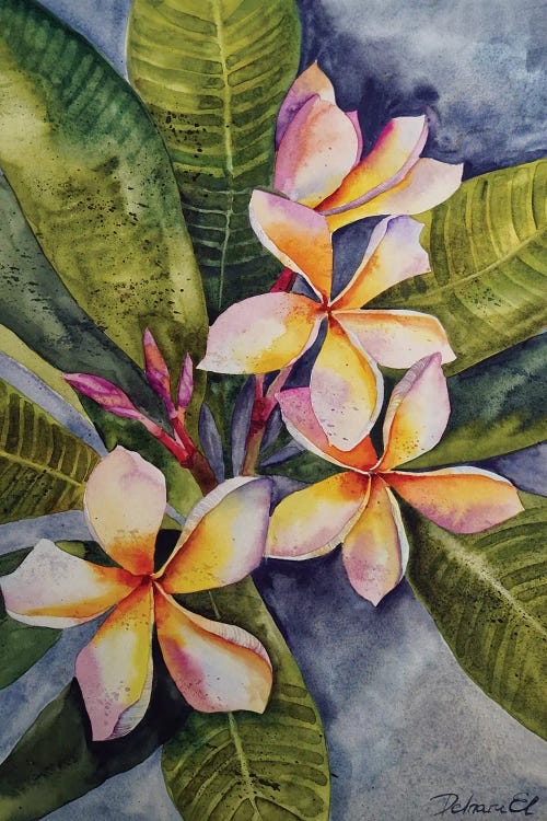 Tropical Flowers by Delnara El wall art