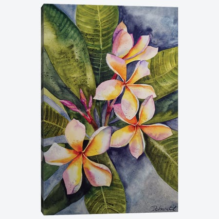 Tropical Flowers Canvas Print #DER76} by Delnara El Art Print