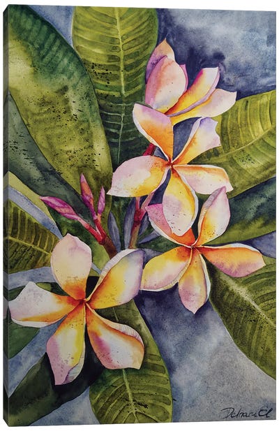Tropical Flowers Canvas Art Print - Delnara El