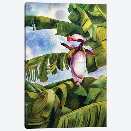 Tropical Mood Canvas Print #DER77} by Delnara El Art Print