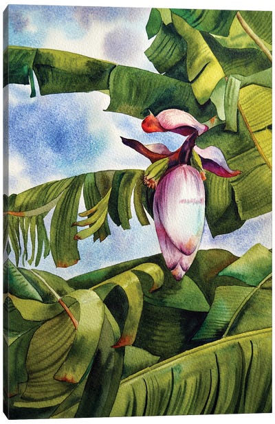 Tropical Mood Canvas Art Print - Delnara El