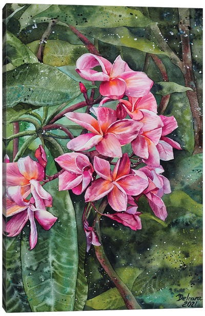 Tropical Canvas Art Print - Delnara El