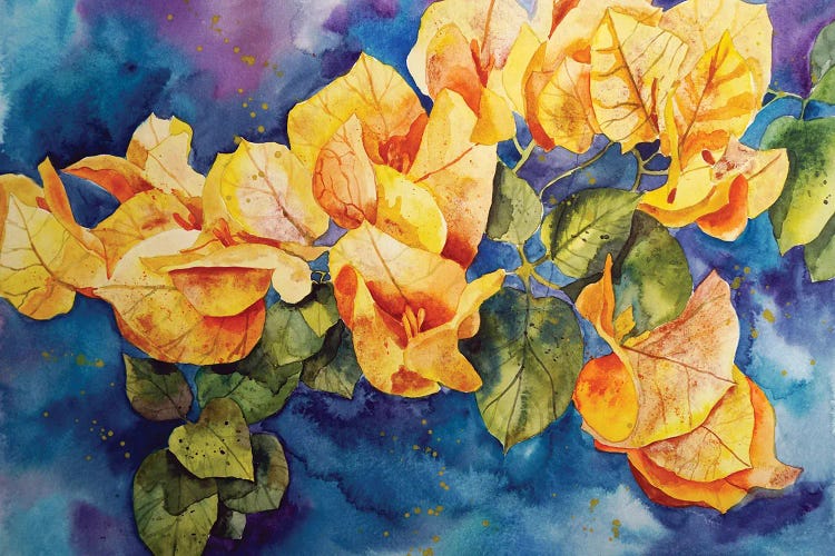 Yellow Bougainvillea by Delnara El wall art