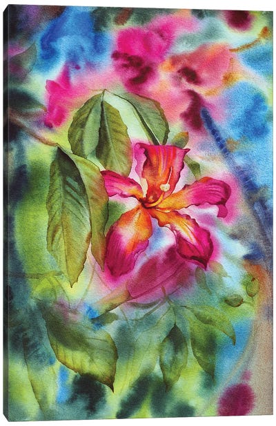 Cotton Tree Canvas Art Print - Delnara El