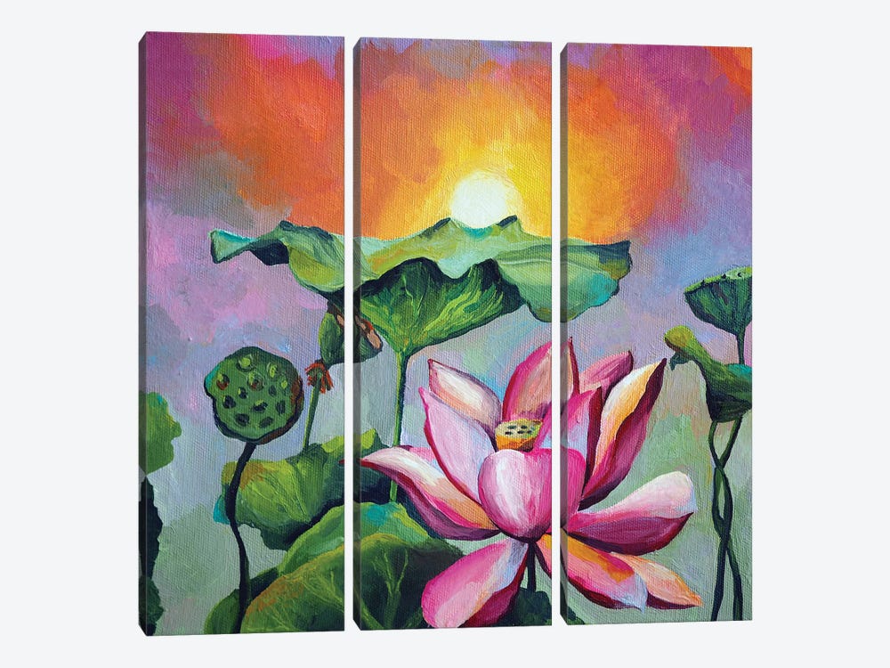 Sunny Lotus by Delnara El 3-piece Canvas Artwork