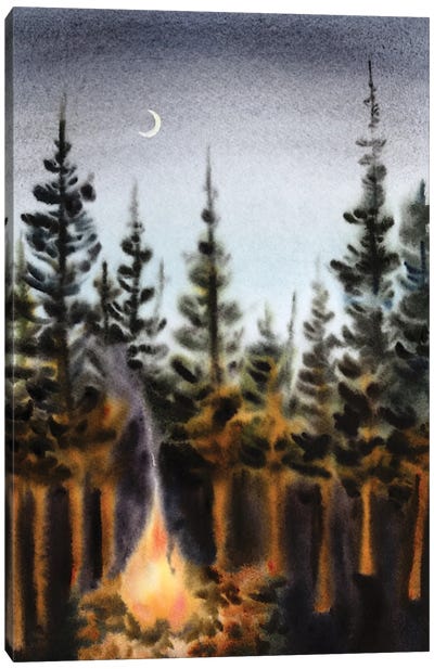 Fabulous Night In The Forest Canvas Art Print - Camping Art