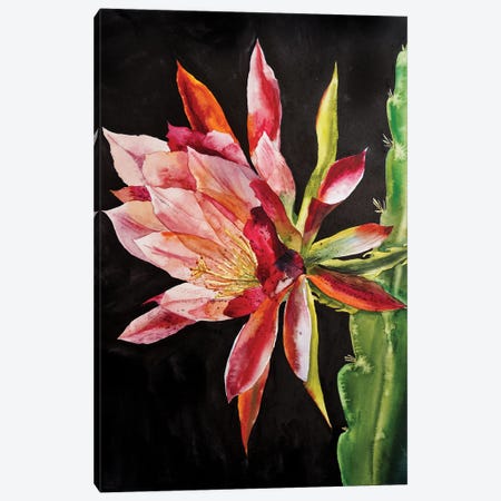 Cacti Flower Canvas Print #DER9} by Delnara El Canvas Art