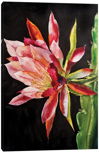 Cacti Flower Canvas Art Print - Delnara El