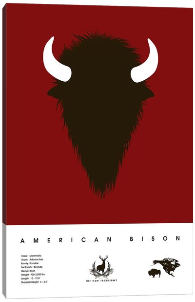 American Bison Canvas Art Print - Kids Educational Art