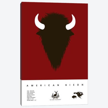 American Bison Canvas Print #DES27} by 2046 Design Art Print