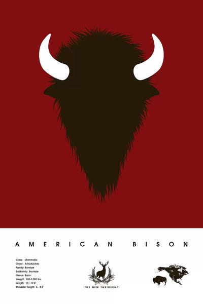 Kids Educational Art: American Bison by 2046 Design