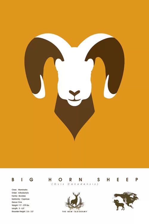 Big Horn Sheep by 2046 Design wall art
