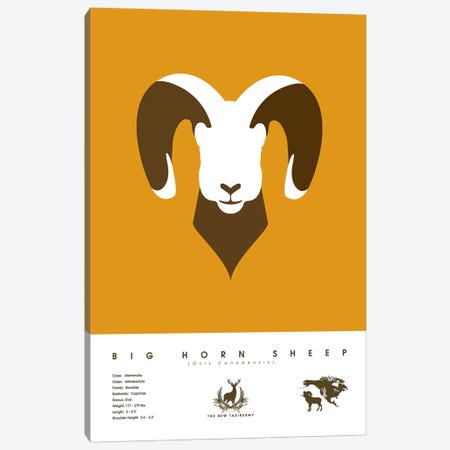Big Horn Sheep Canvas Print #DES28} by 2046 Design Canvas Artwork