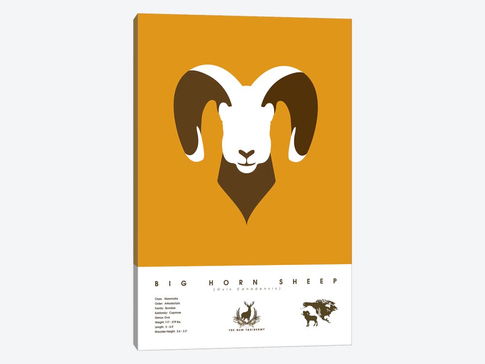 Big Horn Sheep by 2046 Design 1-piece Canvas Artwork