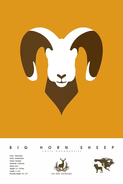 Kids Educational Art: Big Horn Sheep by 2046 Design