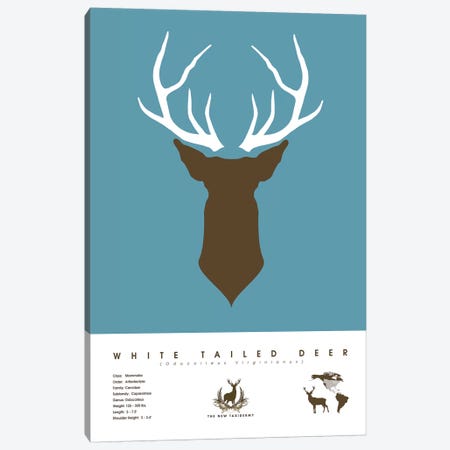 White Tailed Deer Canvas Print #DES29} by 2046 Design Canvas Artwork
