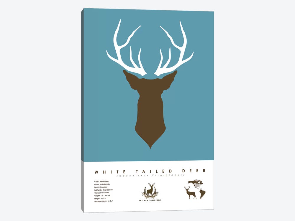 White Tailed Deer by 2046 Design 1-piece Canvas Print