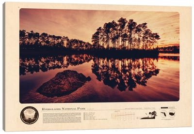 Everglades National Park Canvas Art Print - National Parks Travel Posters
