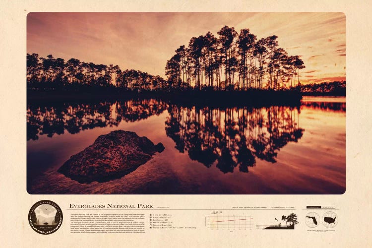Everglades National Park by 2046 Design wall art