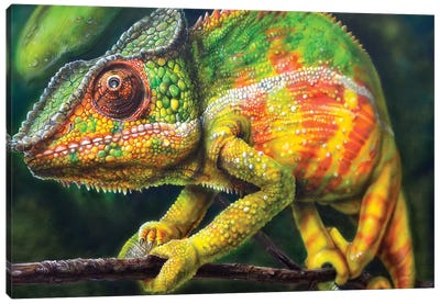 Chameleon Panther Canvas Art Print - Derek Turcotte