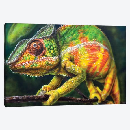 Chameleon Panther Canvas Print #DET11} by Derek Turcotte Canvas Artwork
