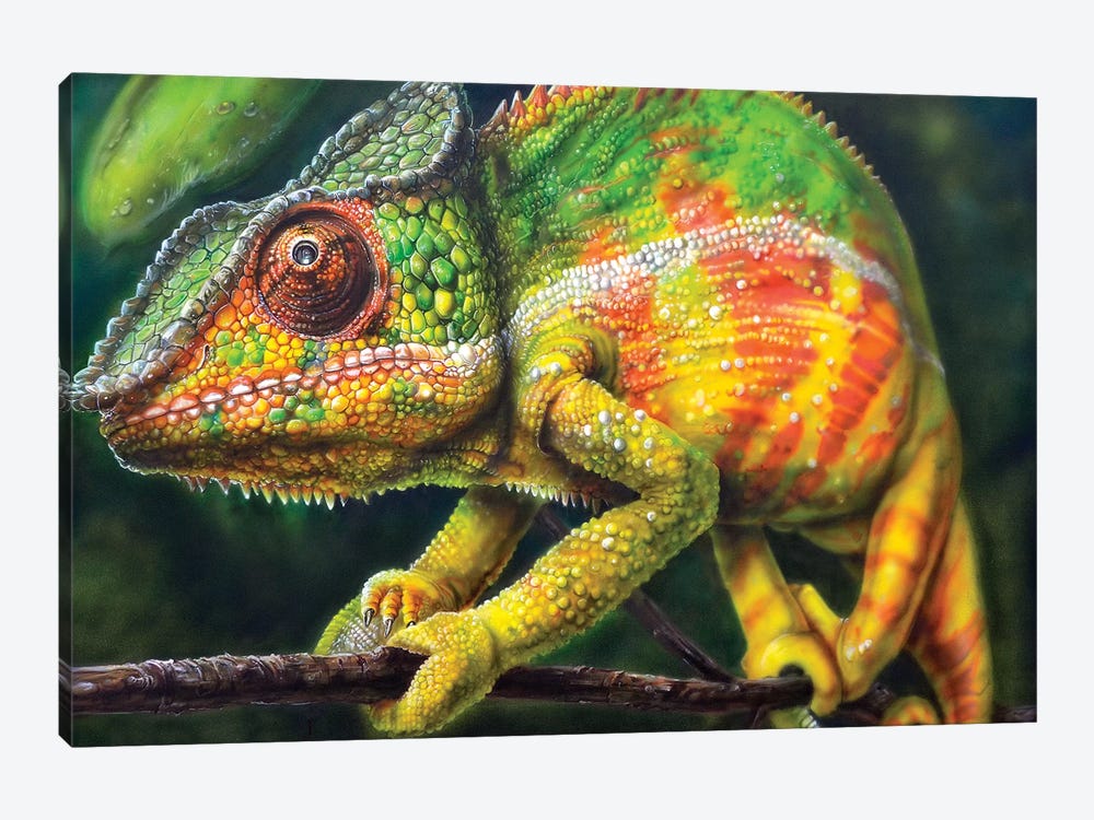 Chameleon Panther by Derek Turcotte 1-piece Canvas Print