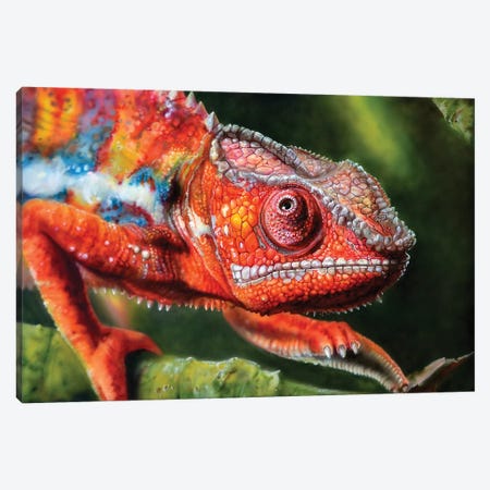 Chameleon Red Canvas Print #DET12} by Derek Turcotte Canvas Wall Art