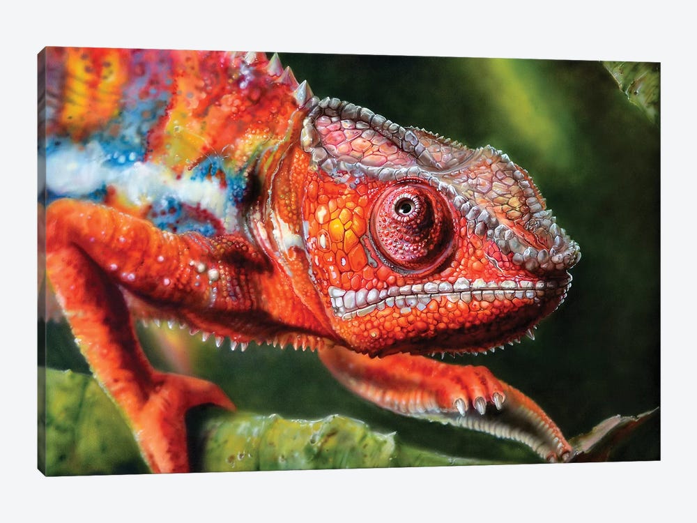 Chameleon Red by Derek Turcotte 1-piece Canvas Art