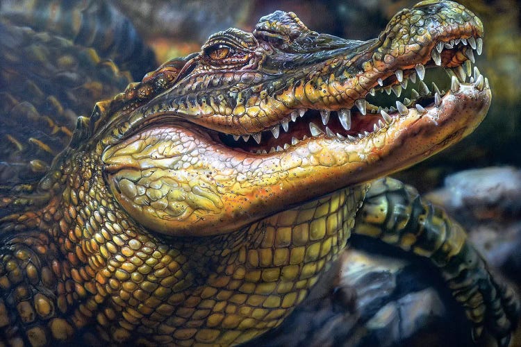 Crocodile by Derek Turcotte wall art